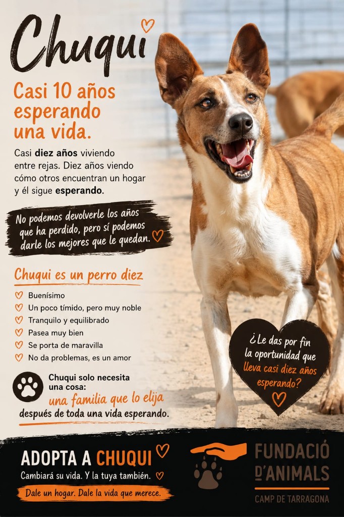 Chuqui