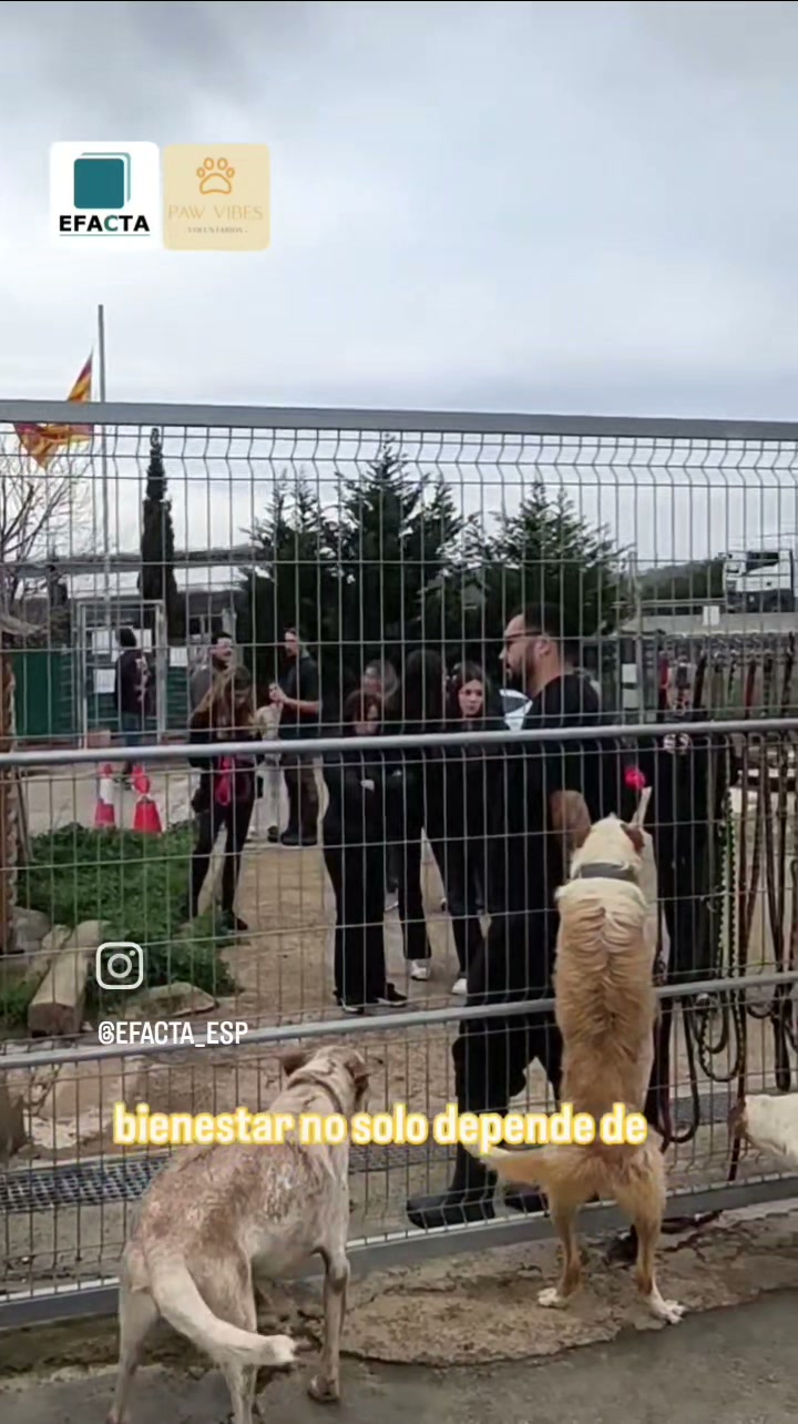 Jornada de voluntariado en SPAC Vendrell — 20 septiembre 2026, El Vendrell