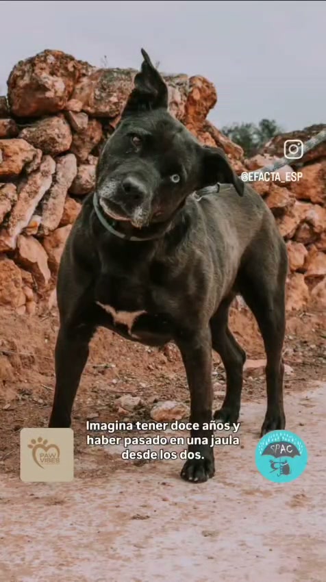 Carlos presenta a Mara en SPAC Torredembarra